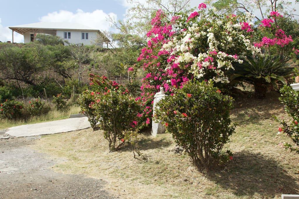 Appartement Vacances Goyave Cap Chevalier Exterior foto